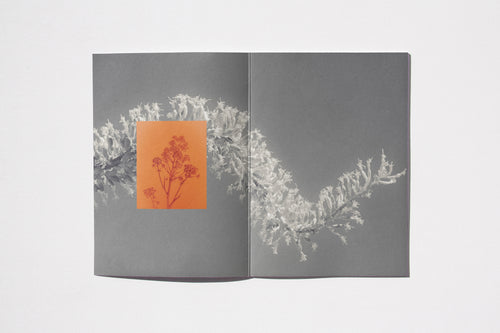 ISSUE 02